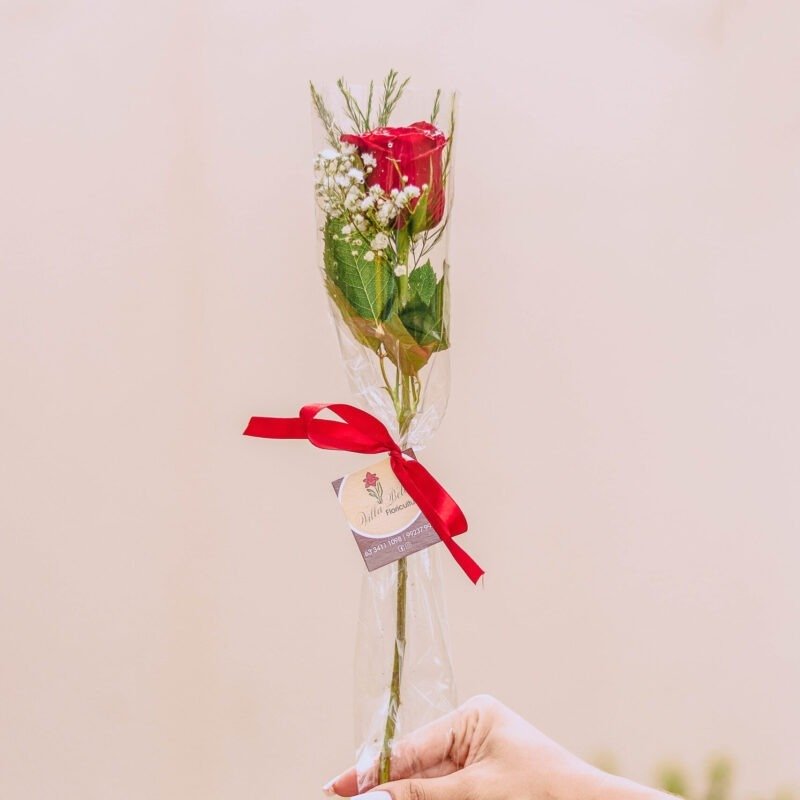 Rosa no papel transparente com laço