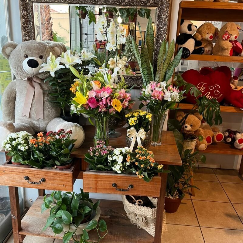 Combo surpresa mensal -1 entrega mensal