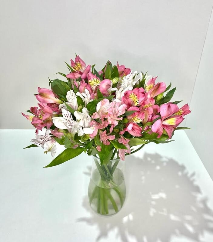 Astromelias semanais - 4 entregas mensais